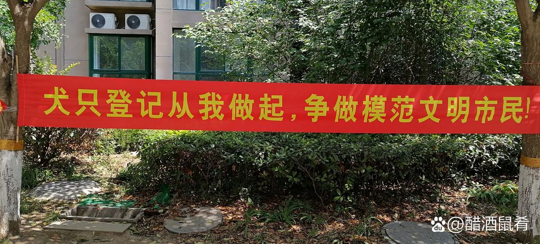 云岭医药